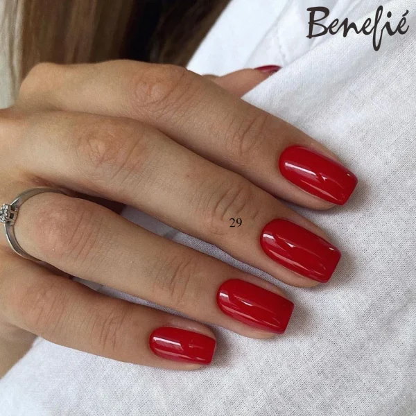BB Gel Color N-5 Collection Complete Set